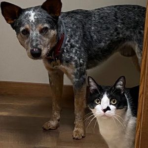 Meet your Posher, Aimee